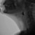 847509.png